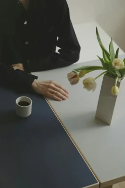 Artek Matbord Och Barbord-Aalto Table foldable DL81C Legs and edge band natural lacquered, top clay linoleum, drop-leaf