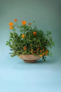 Ada Kruka Med Fat Rosa Ø40 cm