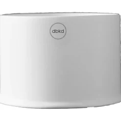 Astillbe Kruka Vit, 14x10 cm