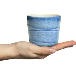 Basic Mugg 25 cl, Vit