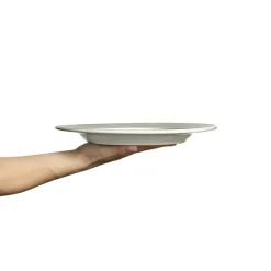 Basic Tallrik 28 cm, Orange