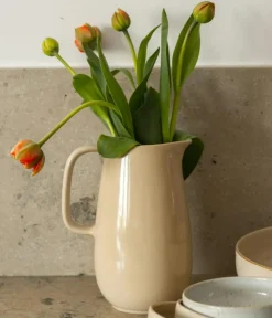 Decotique Vattenkaraffer & Vattenkannor-BON Karaff, Steam