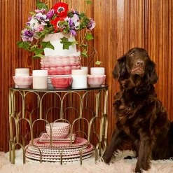 Bubbles Skål 60 cl, Plommon