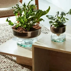 LSA International Krukor-Canopy Självvattnande Kruka, 13 cm