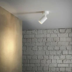 Canspot 55 Single Spotlight, Svart