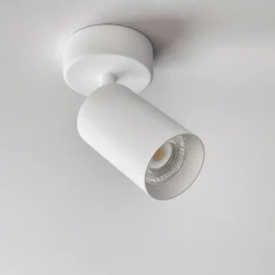 Canspot 55 Single Spotlight, Svart