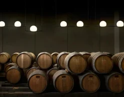 Estiluz Pendellampor-Circ T-3716 Pendel, Svart / Svart