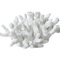 Coral Dekoration Large