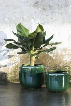 Costa Kruka L D25 H26, Grå