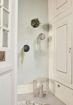 AYTM Pallar-Curva Pall, Silver