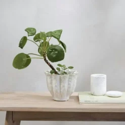 Lene Bjerre Boxar & Askar-Ellia Burk Med Lock, Linen