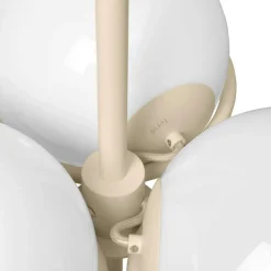 Era Ljuskrona, Kashmir