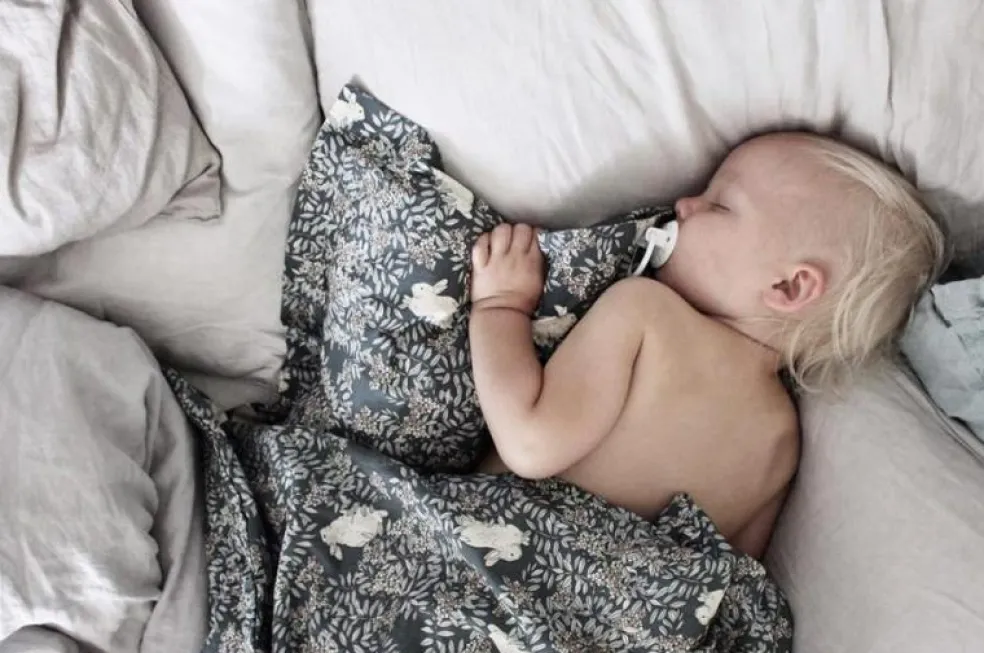 Fauna Bäddset 70x80 cm, Baby