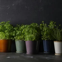 Bitz Krukor-Gastro Kruka Med Fat Ø14 cm, Svart/Mörkblå