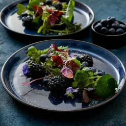 Gastro Tallrik Ø21 cm, Svart/Mörkblå