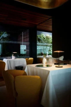 Marset Portabla Lampor|Portabla Lampor-Ginger 20 M Bordslampa Portabel, Wenge