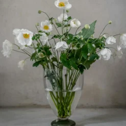 ERNST Vaser-Glasvas, Klar