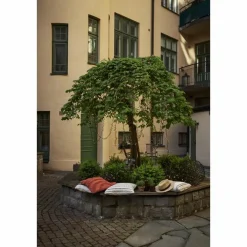 Golden 180 Ljusslinga