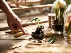 Design House Stockholm Krukor-Grow Miniväxthus XL,