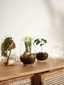 Design House Stockholm Krukor-Grow Miniväxthus XL,