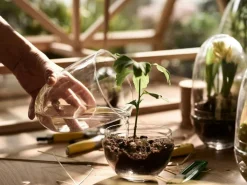 Design House Stockholm Krukor-Grow Miniväxthus XL,