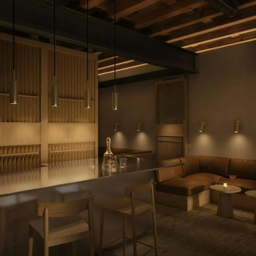 Hölster Pendel, Antracit