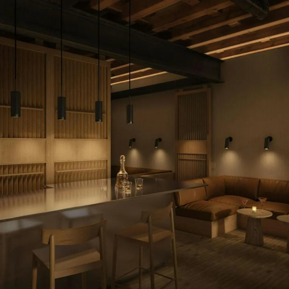 Hölster Pendel, Antracit