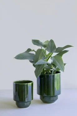 Bergs Potter Krukor-Hoff Kruka Utan Dräneringshål 18 cm, Pearl Grey