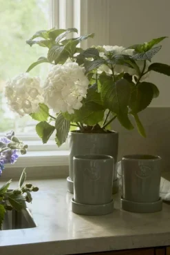 Lexington Krukor-Kruka Med Fat H18 cm, Eucalytus