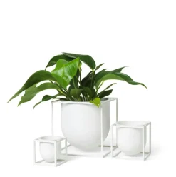 Kubus Blomkruka 14, Vit