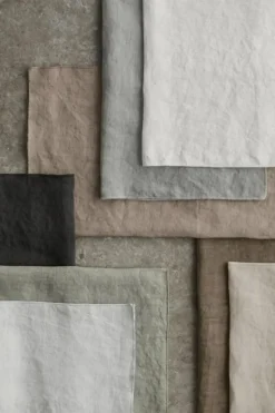 LINEO Servett Linne, Moonbeam