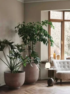 Little Petra Soffa Vb2, Oljad Valnöt / Fårskinn Sahara