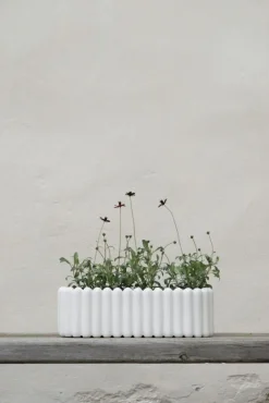 DBKD Krukor-Mist Kruka XL,