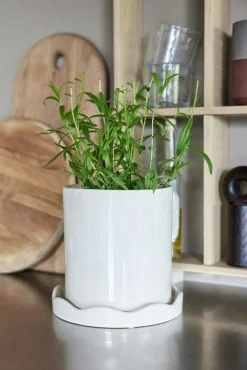 OYOY Krukor-Nami Kruka Med Fat H18 cm,