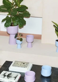 Iittala Krukor-Nappula Kruka Med Fat 17x13 cm, Beige