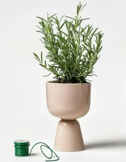 Nappula Kruka 19x12,5 cm, Beige