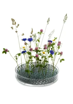 Klong Vaser-Äng Vas Mega,