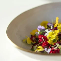 Heirol Serveringsskålar-Nosse Ceramics Edge Skål Ivory Gold, 25 cm