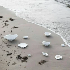 ByON Boxar & Askar|Sockerskålar-Oyster Skål 8x13 cm, Vit