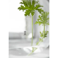 Skrufs Glasbruk Vaser-Pallo Vas, Stor