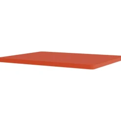 Panton Wire inlay shelf 99-Glass