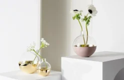 Skultuna Ljuslyktor|Vaser-Pomme - Liten /Glas