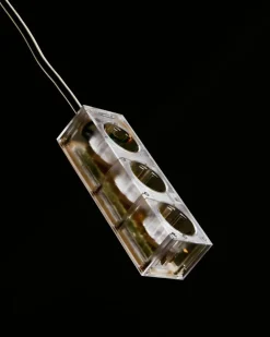 Power Bar 5 m, Dusty Rose