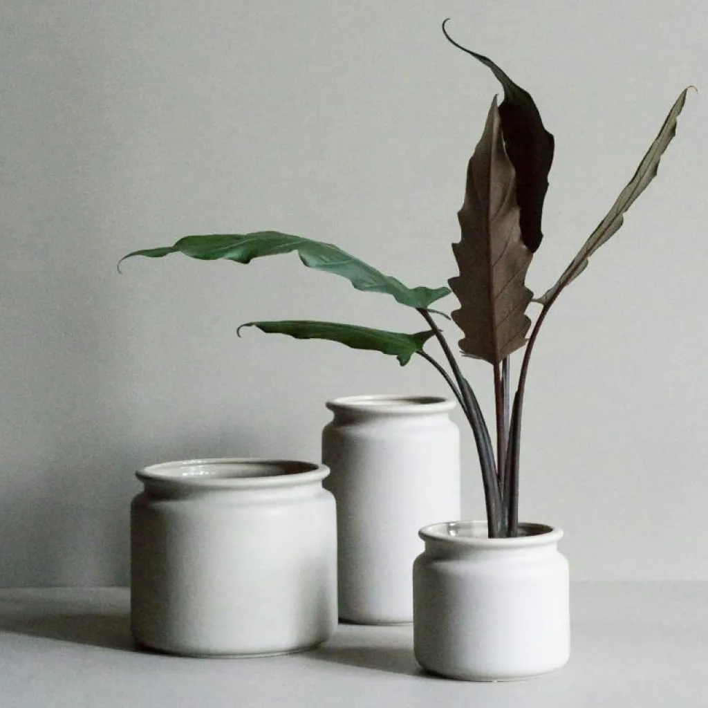 DBKD Krukor-Pure Kruka Medium, Mole