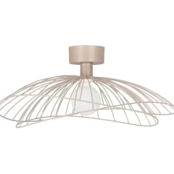 Ray Vägg-/Taklampa, Borstad Mässing