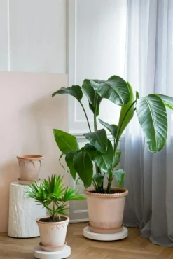 Bergs Potter Dekorativa Accessoarer|Krukor-Rolling Stones Blomvagn Ø35 cm, Vit