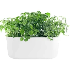 Eva Solo Krukor-Självvattnande Herb Organiser, Vit