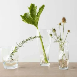 Squeeze Tulpanvas 18 cm, Rökbrun