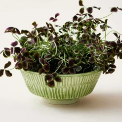 Mateus Serveringsskålar-Stripes Skål 50 cl, Grön