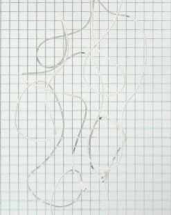 Pedestal Lampsladdar & Lampupphängning-Strömsladd 7,5 m, Charcoal